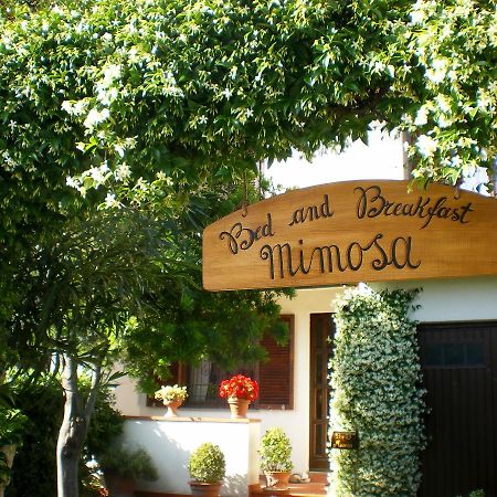Bed And Breakfast Mimosa Cascina Zewnętrze zdjęcie