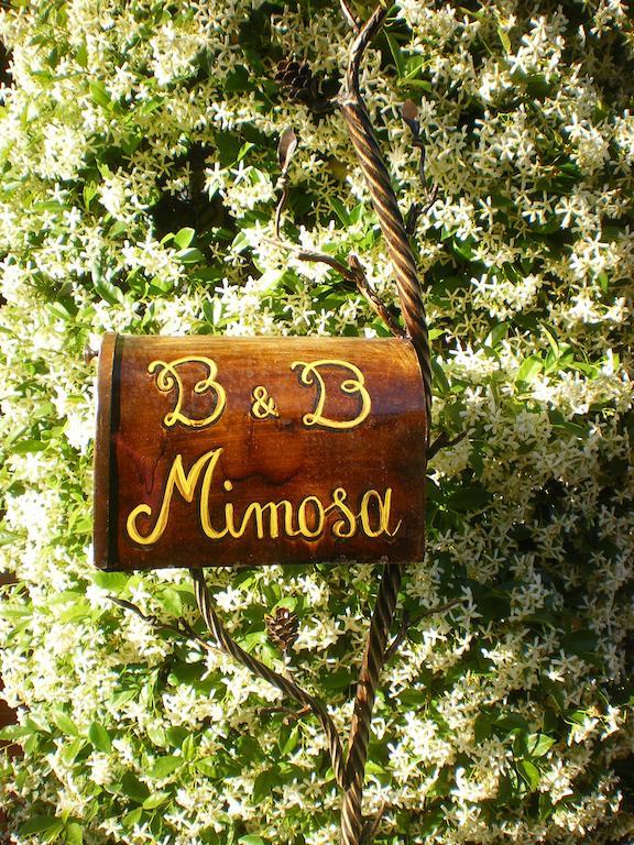 Bed And Breakfast Mimosa Cascina Zewnętrze zdjęcie