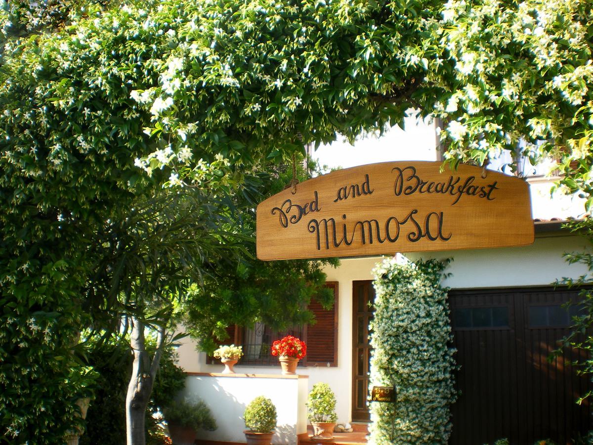 Bed And Breakfast Mimosa Cascina Zewnętrze zdjęcie